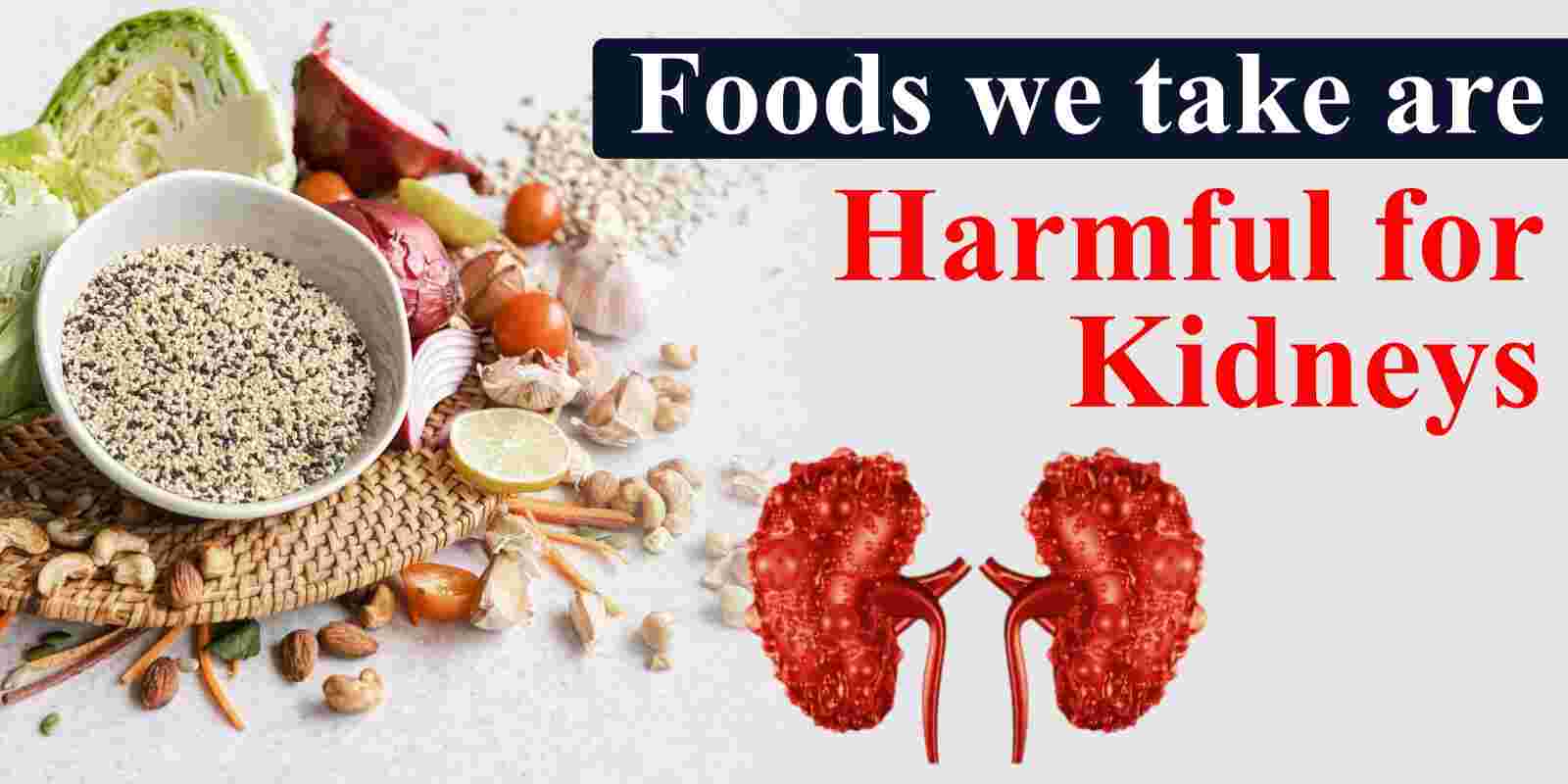 Foods we take are Harmful for Kidneys